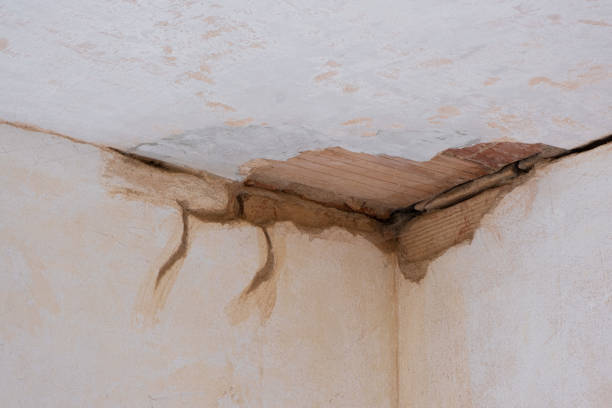 Certified Mold Removal and Home Sanitization